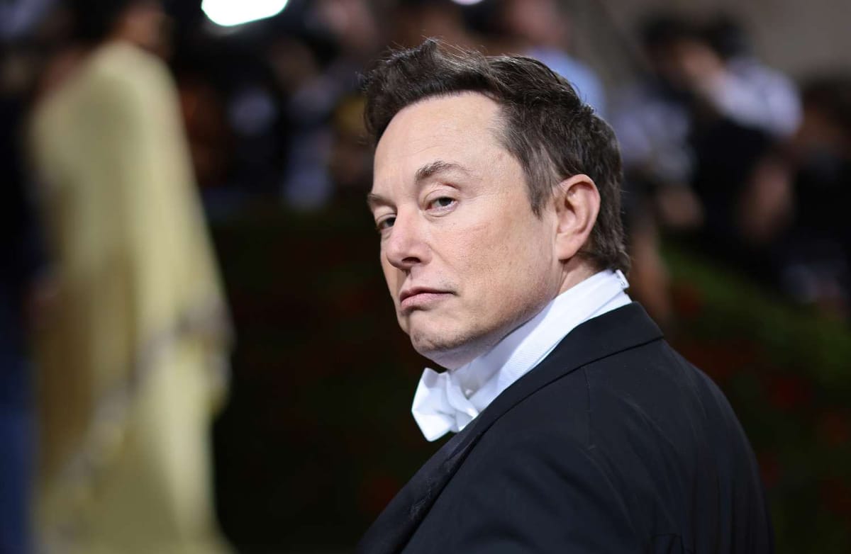 Elon Musk admite compartilhar contas em Path of Exile 2 e Diablo 4